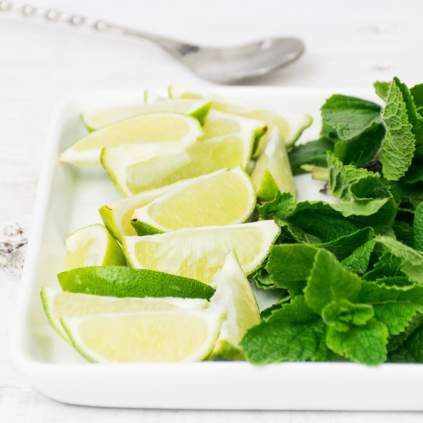 Mint Julep 1 oz. Loose leaf